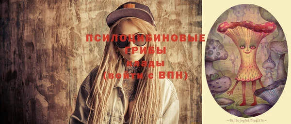 ГАЛЛЮЦИНОГЕННЫЕ ГРИБЫ Армянск